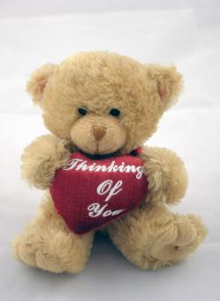 Free Stock Photo of Teddy bear