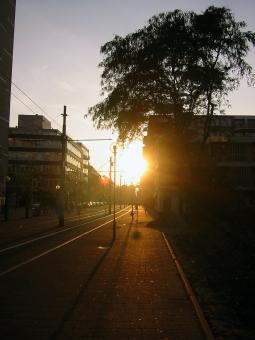 Free Stock Photo of City dusk