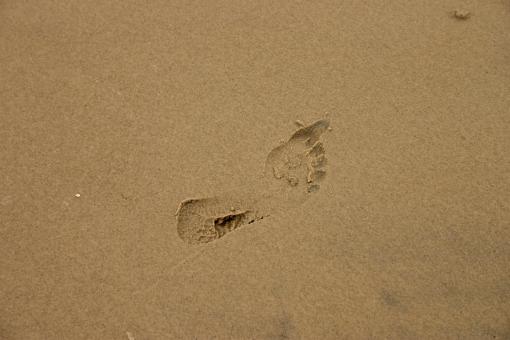 Free Stock Photo of Footsteps
