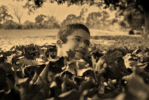 Free Stock Photo of Leaf Me Alone