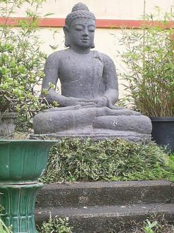 Free Stock Photo of Buddha