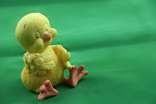 Free Stock Photo of Cute Easter Chick