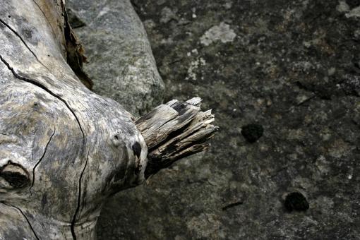 Free Stock Photo of Wood and rock