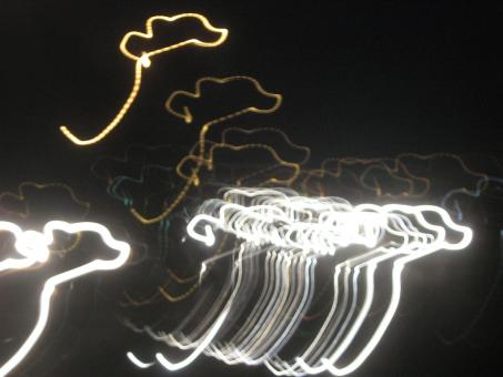 Free Stock Photo of headlight distortion