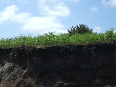 Free Stock Photo of Almost at the top
