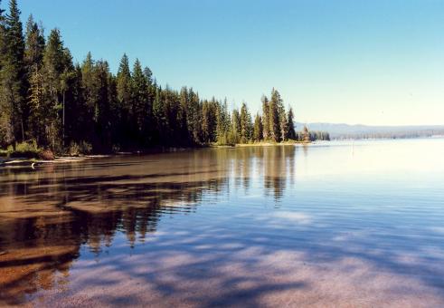 Free Stock Photo of Serenity