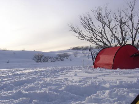 Free Stock Photo of Early morning from my tent