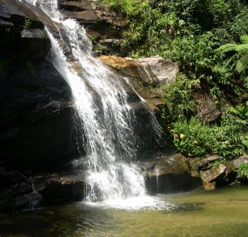 Free Stock Photo of Waterfall