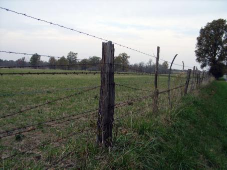 Free Stock Photo of Barbed wire fence