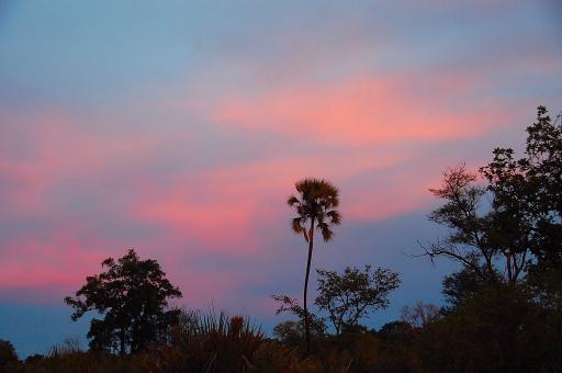 Free Stock Photo of Botswana Sunset