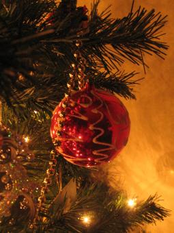 Free Stock Photo of Christmas
