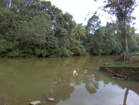 Free Stock Photo of Beauty of Kerala