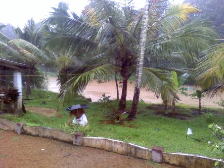 Free Stock Photo of Kerala