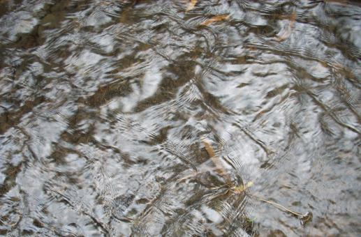 Free Stock Photo of Fresh Water
