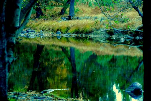 Free Stock Photo of Yosemite National Park