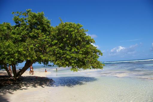 Free Stock Photo of The beach