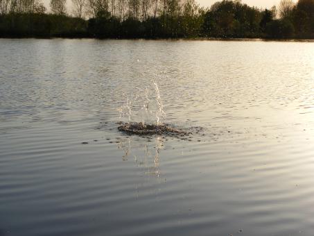 Free Stock Photo of Splash in a pond