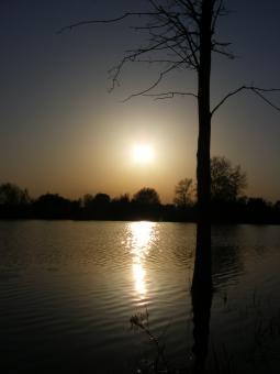 Free Stock Photo of Sunset