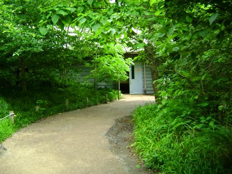 Free Stock Photo of Hidden Path