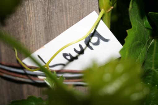 Free Stock Photo of Note