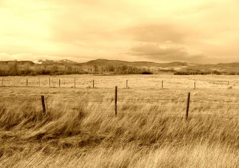 Free Stock Photo of Vast field