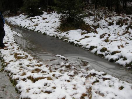 Free Stock Photo of Winter 2008