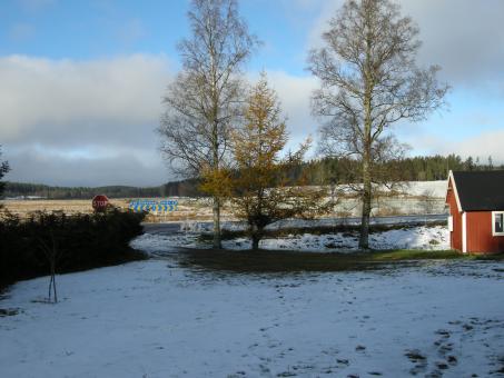 Free Stock Photo of Winter 2008