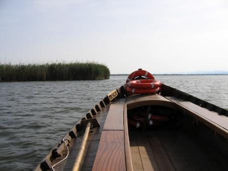 Free Stock Photo of Boat Tour in Valencia - Albufera
