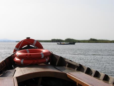 Free Stock Photo of Boat Tour in Valencia - Albufera
