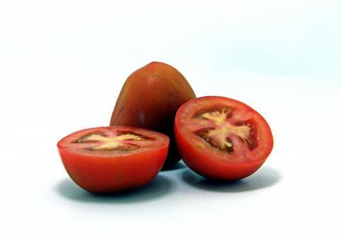 Free Stock Photo of Tomatoes