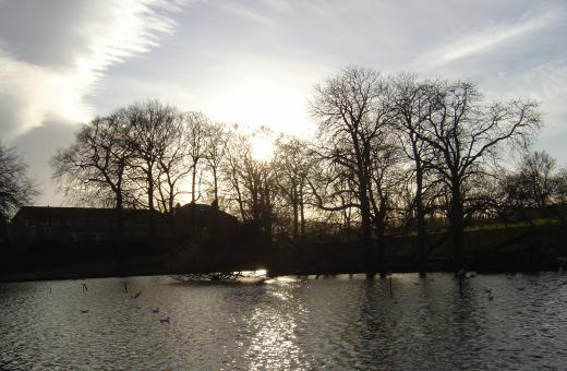 Free Stock Photo of Winter At Hillsborough Park