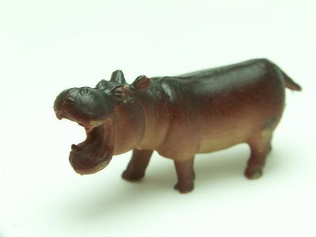 Free Stock Photo of Plastic hippopotamus