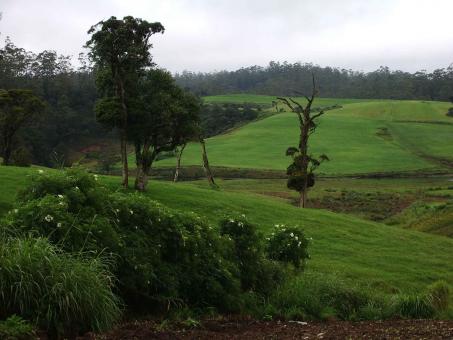 Free Stock Photo of Country scene
