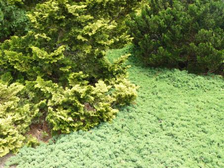 Free Stock Photo of Natural Beauty of Hidden Lake Gardens
