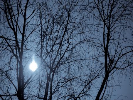 Free Stock Photo of Morning Sun