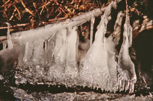 Free Stock Photo of Winter