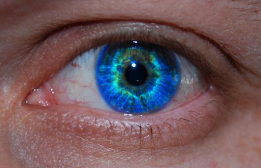 Free Stock Photo of Colorful eye