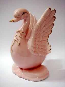 Free Stock Photo of Pink Swan