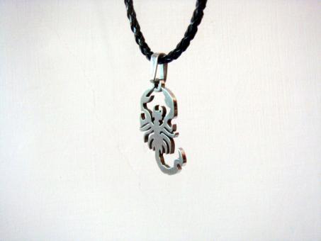Free Stock Photo of Scorpion Chain