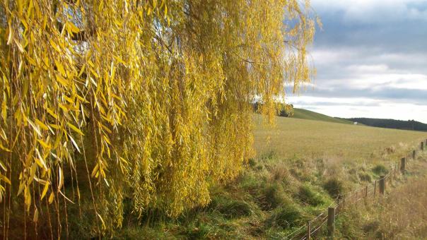 Free Stock Photo of New Zealand Landscape in Winter