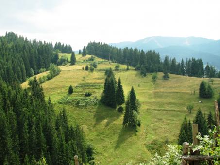 Free Stock Photo of View from the central Rhodopi mountain