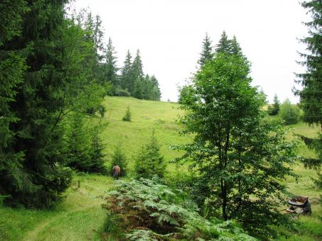 Free Stock Photo of View from the central Rhodopi mountain