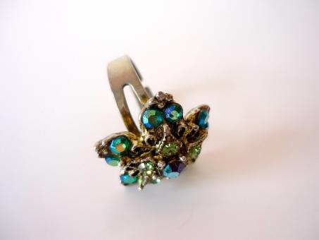 Free Stock Photo of Flower Ring