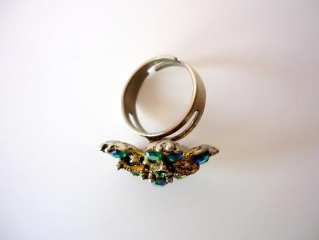 Free Stock Photo of Flower Ring