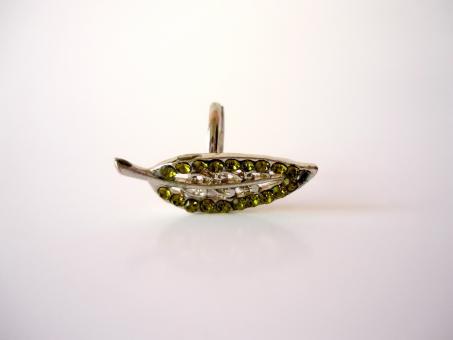 Free Stock Photo of Green Leaf Ring