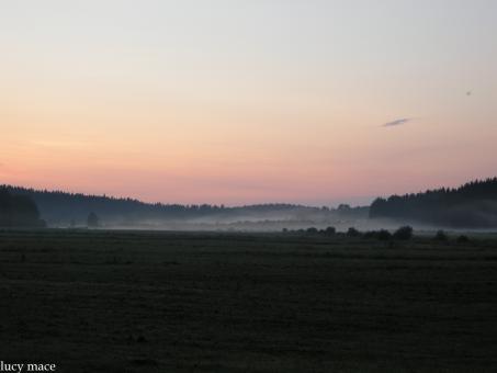 Free Stock Photo of Summer evening in the sky