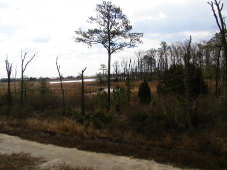 Free Stock Photo of DE - Protected Wetlands