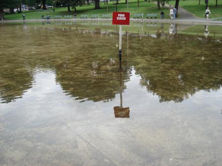 Free Stock Photo of Pond