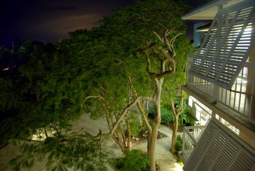 Free Stock Photo of Night in Islamorada, Florida, January 20