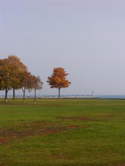 Free Stock Photo of Fall